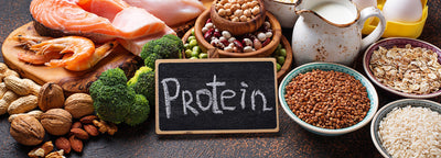 Want To Know Which Food Promotes Your Hair Growth